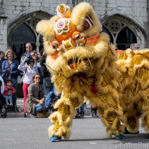 FIMI - Festival Internacional da Máscara Ibérica