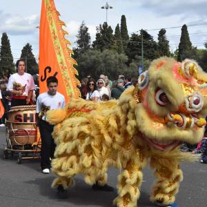 FIMI - Festival Internacional da Máscara Ibérica